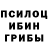 Галлюциногенные грибы Cubensis Lewis Liew