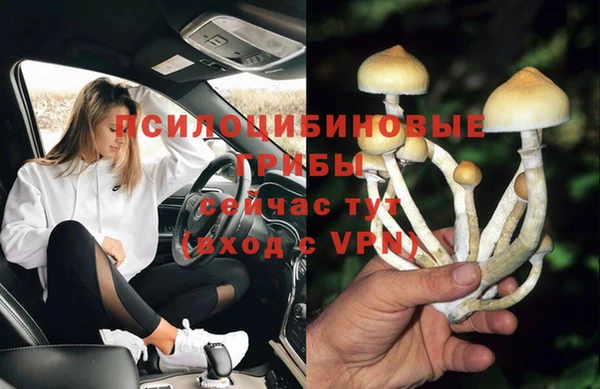 хмурый Горнозаводск