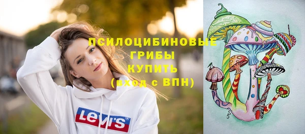 СК Гусь-Хрустальный