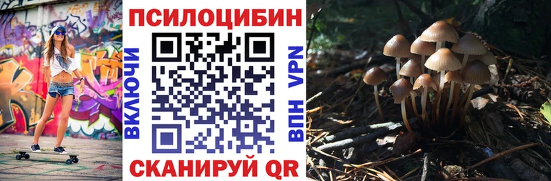 Купить где  Спас-Деменск  Галлюциногенные грибы Cubensis 